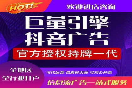 电商平台信息流广告的投放策略与效果评估案例